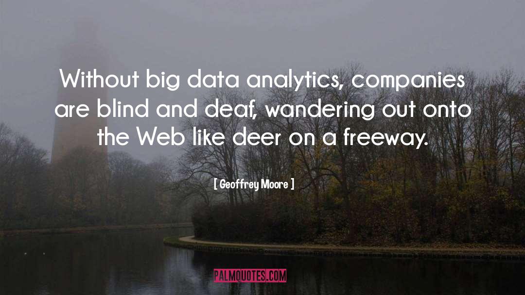 Geoffrey Moore Quotes: Without big data analytics, companies