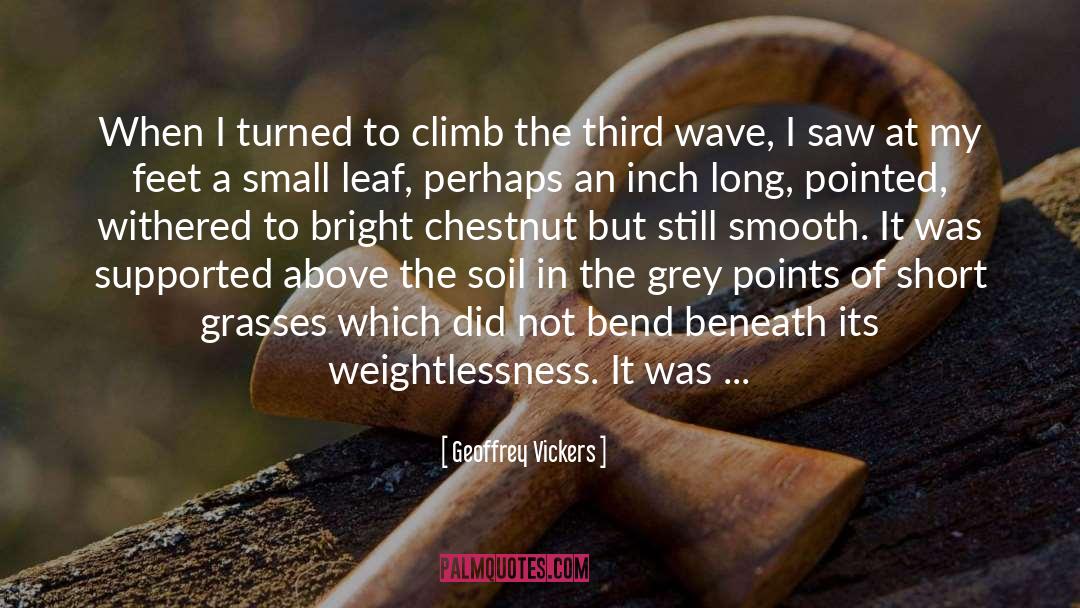 Geoffrey Vickers Quotes: When I turned to climb