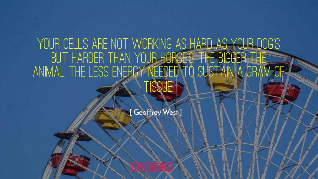 Geoffrey West Quotes: Your cells are not working