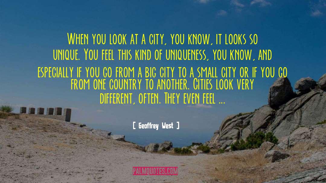 Geoffrey West Quotes: When you look at a