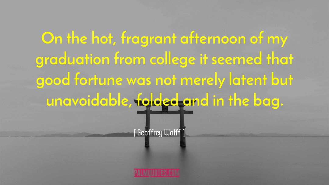 Geoffrey Wolff Quotes: On the hot, fragrant afternoon