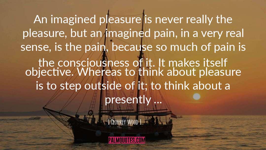 Geoffrey Wood Quotes: An imagined pleasure is never