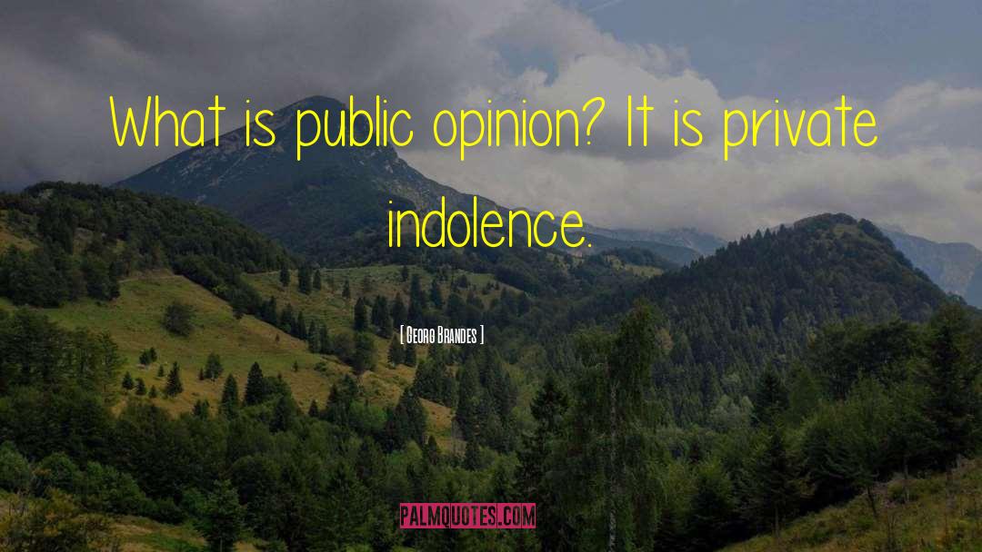 Georg Brandes Quotes: What is public opinion? It