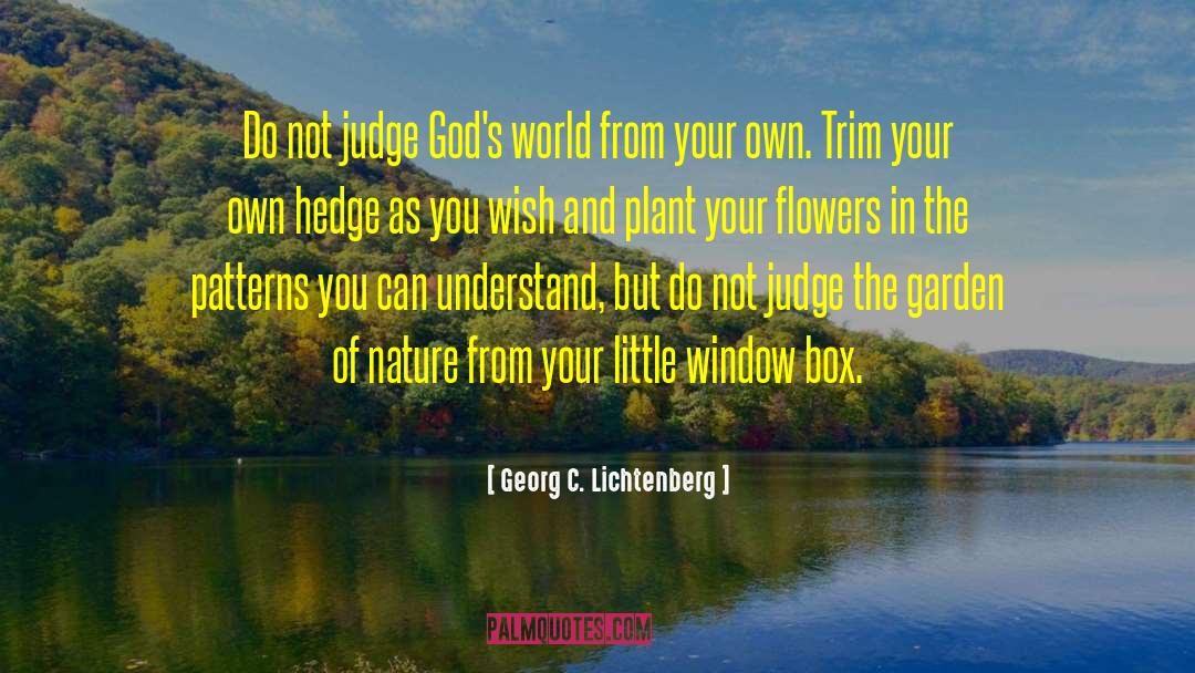 Georg C. Lichtenberg Quotes: Do not judge God's world