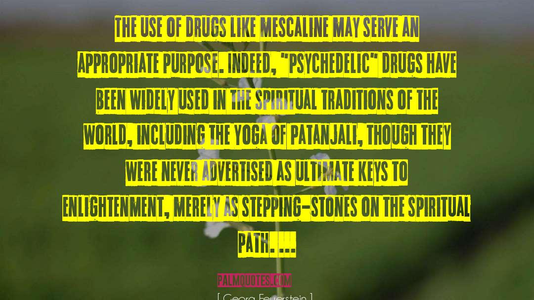 Georg Feuerstein Quotes: The use of drugs like