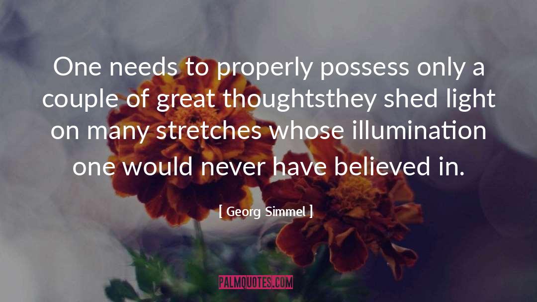 Georg Simmel Quotes: One needs to properly possess