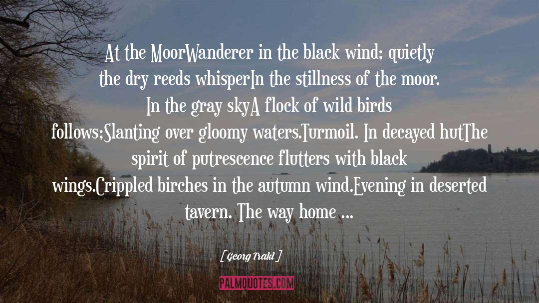 Georg Trakl Quotes: At the Moor<br>Wanderer in the