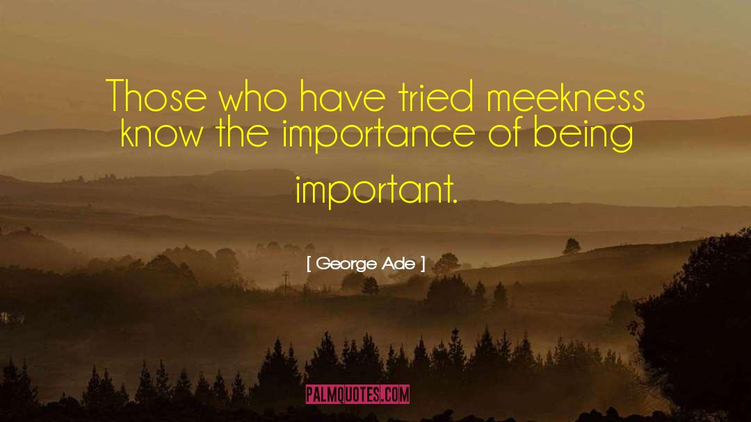 George Ade Quotes: Those who have tried meekness