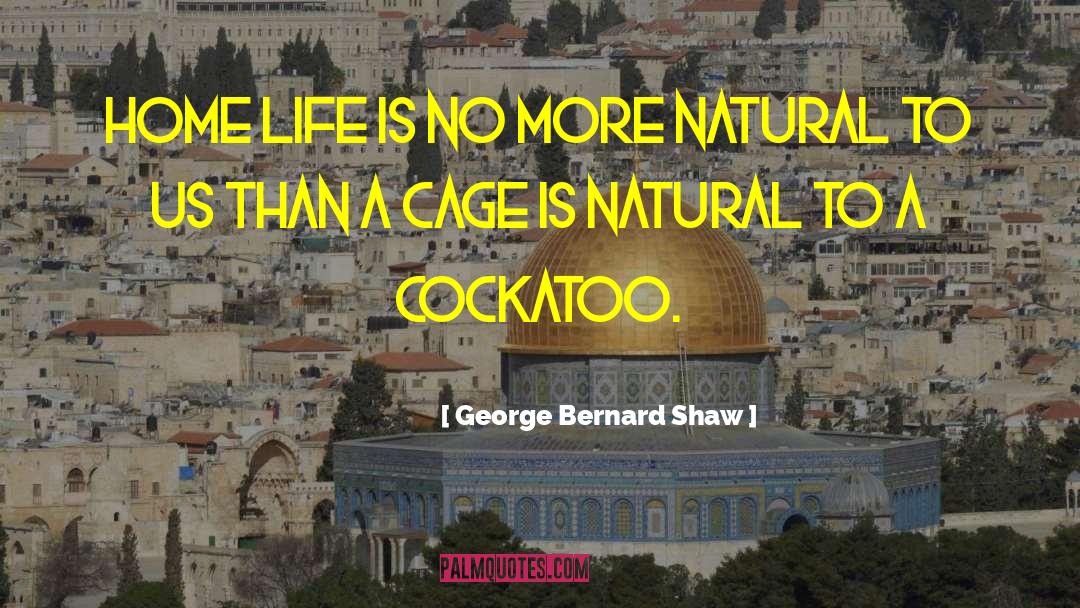 George Bernard Shaw Quotes: Home life is no more