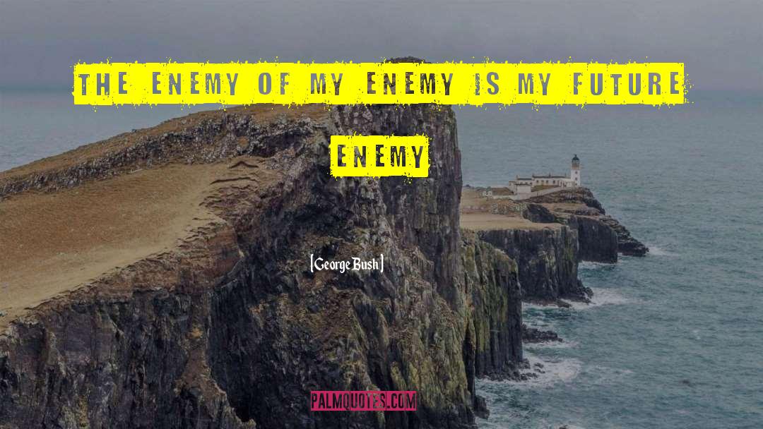 George Bush Quotes: The enemy of my enemy