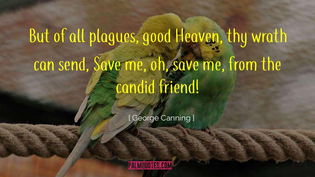 George Canning Quotes: But of all plagues, good