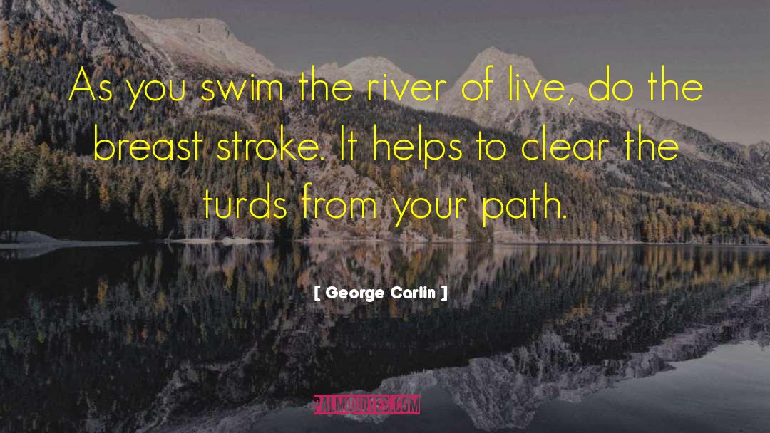 George Carlin Quotes: As you swim the river