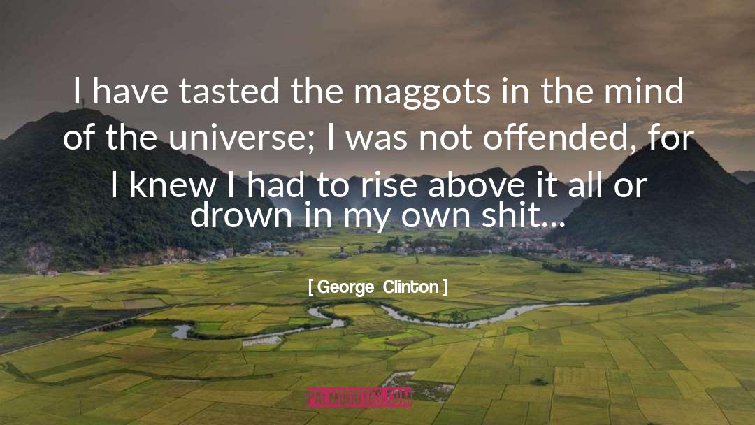 George Clinton Quotes: I have tasted the maggots