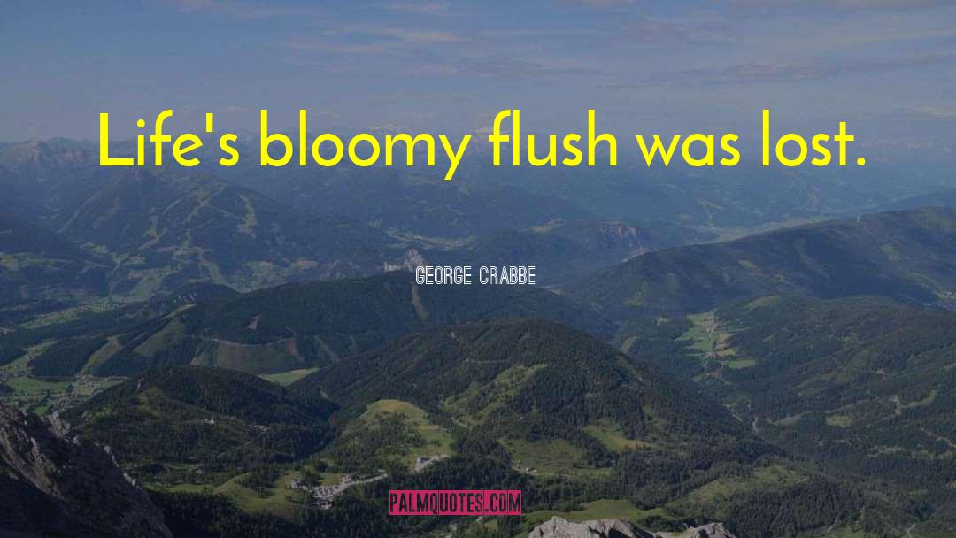 George Crabbe Quotes: Life's bloomy flush was lost.