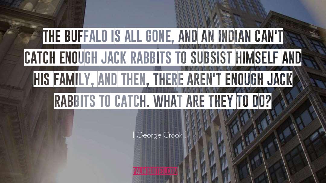 George Crook Quotes: The buffalo is all gone,