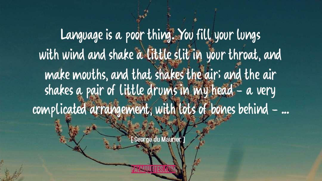 George Du Maurier Quotes: Language is a poor thing.