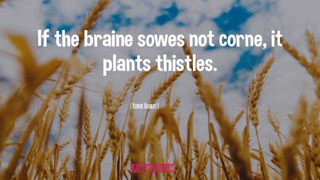George Herbert Quotes: If the braine sowes not
