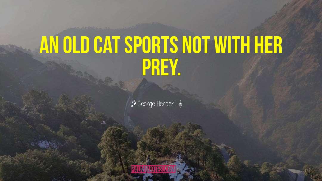 George Herbert Quotes: An old cat sports not