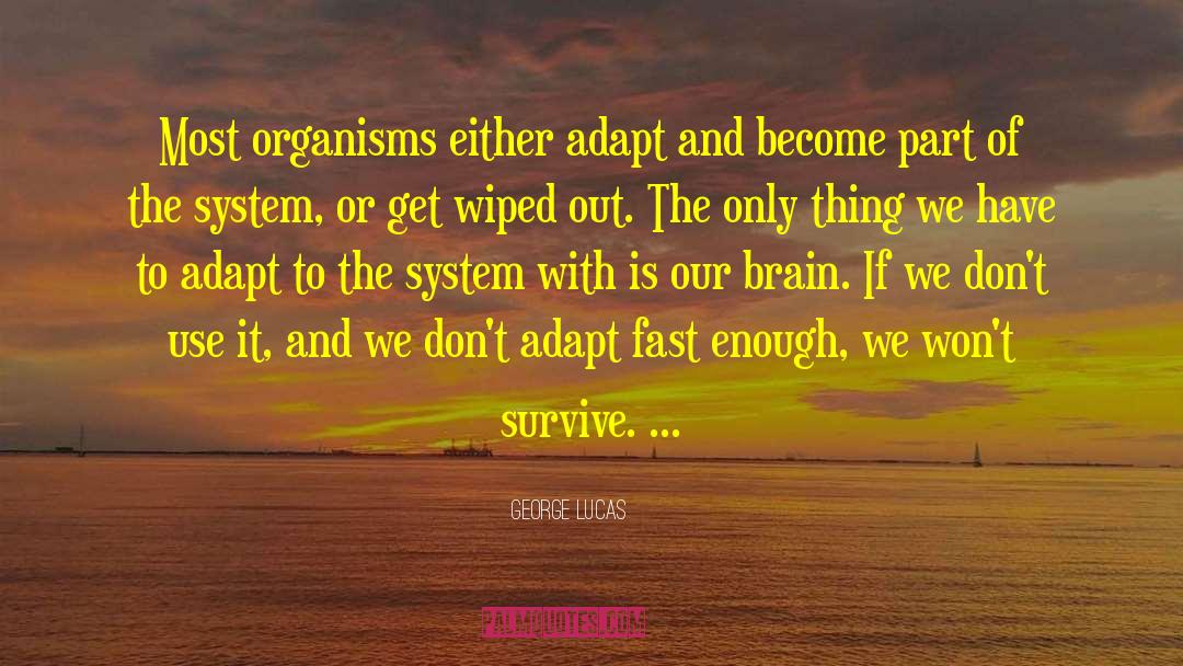 George Lucas Quotes: Most organisms either adapt and