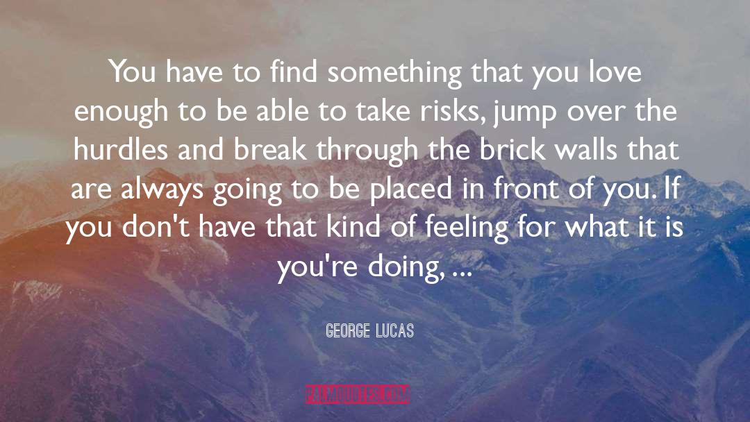 George Lucas Quotes: You have to find something