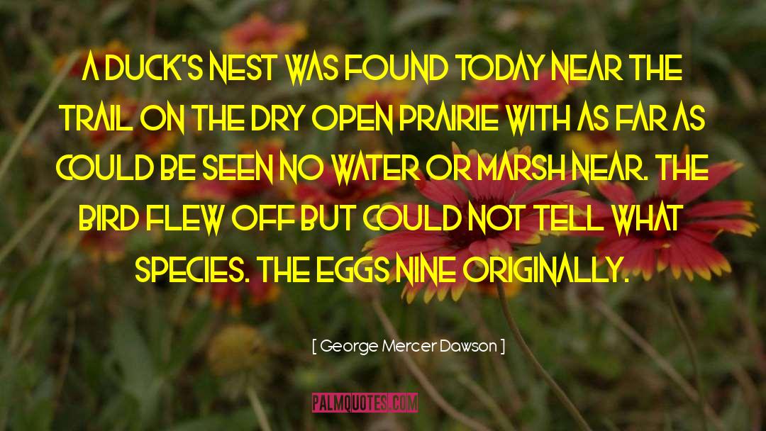 George Mercer Dawson Quotes: A duck's nest was found