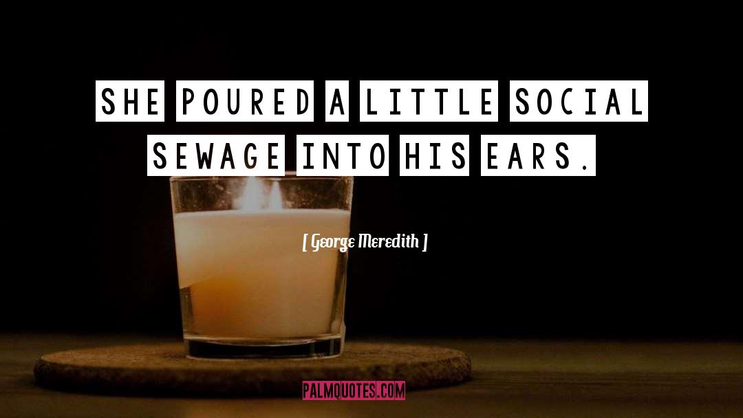 George Meredith Quotes: She poured a little social