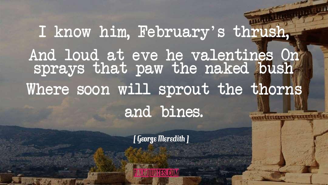 George Meredith Quotes: I know him, February's thrush,