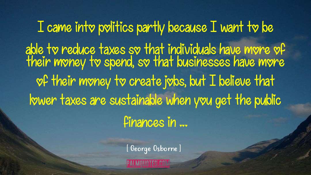 George Osborne Quotes: I came into politics partly