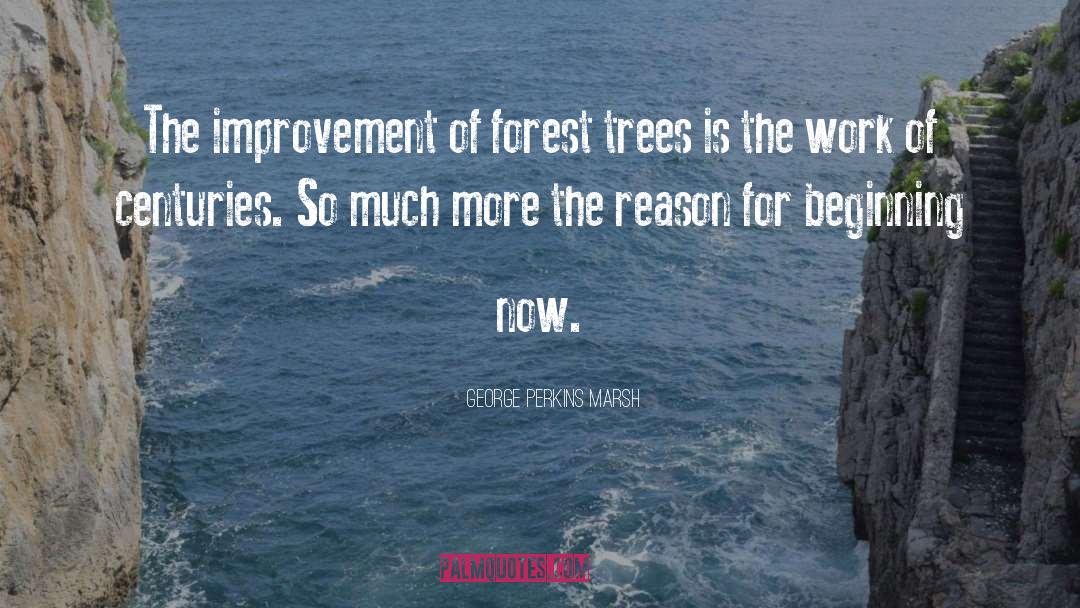 George Perkins Marsh Quotes: The improvement of forest trees