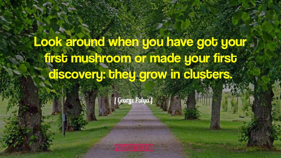 George Polya Quotes: Look around when you have