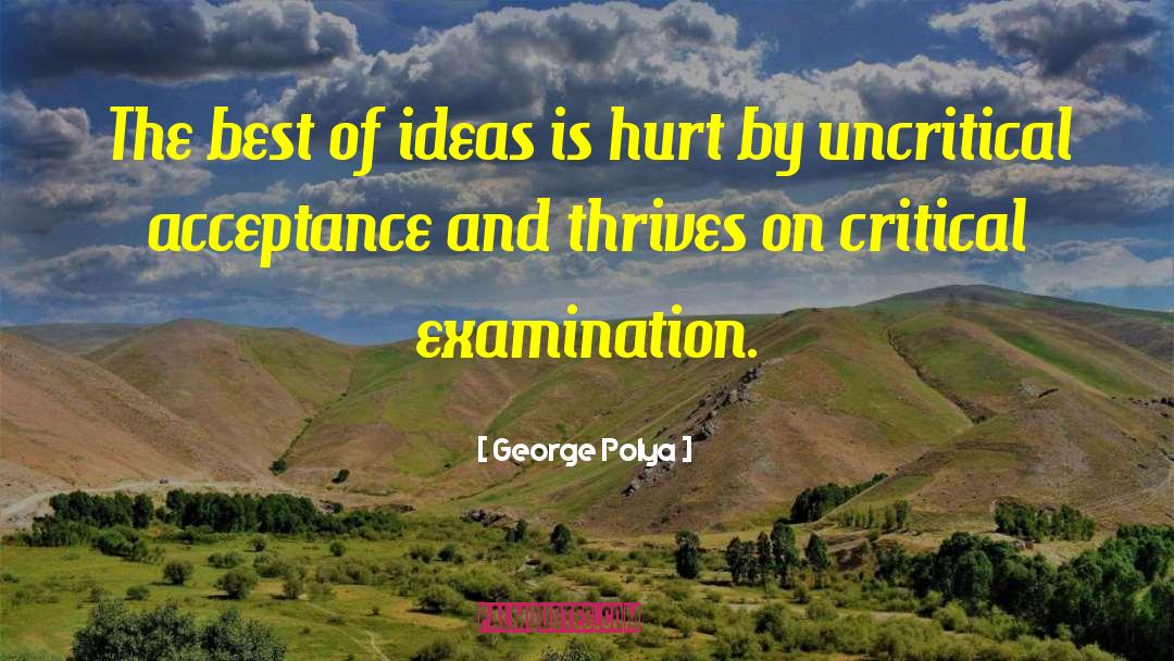 George Polya Quotes: The best of ideas is