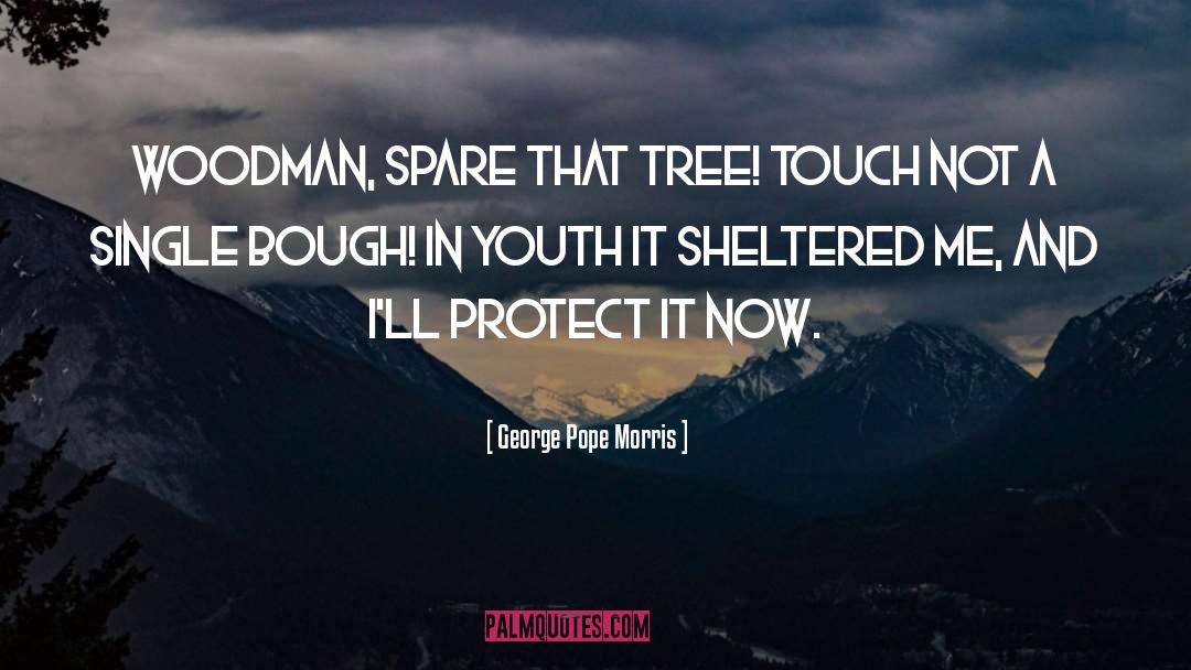 George Pope Morris Quotes: Woodman, spare that tree! Touch