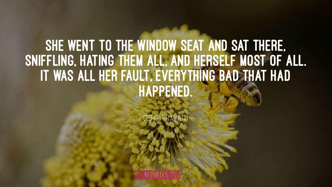 George R R Martin Quotes: She went to the window