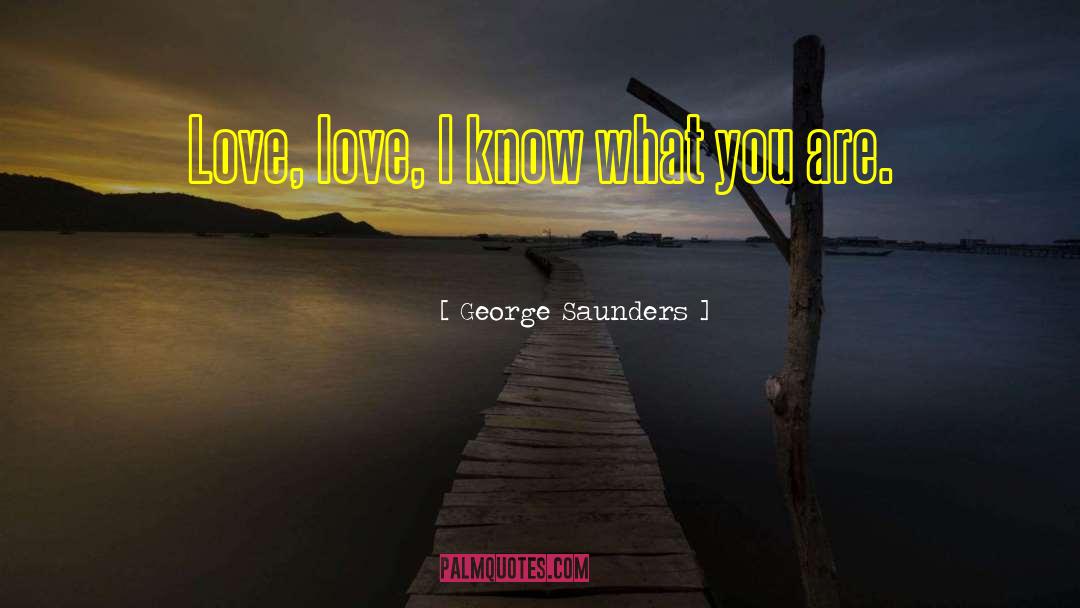 George Saunders Quotes: Love, love, I know what