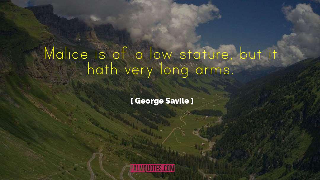 George Savile Quotes: Malice is of a low