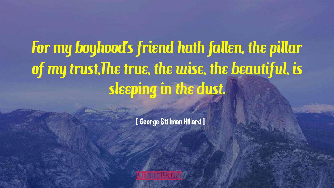 George Stillman Hillard Quotes: For my boyhood's friend hath