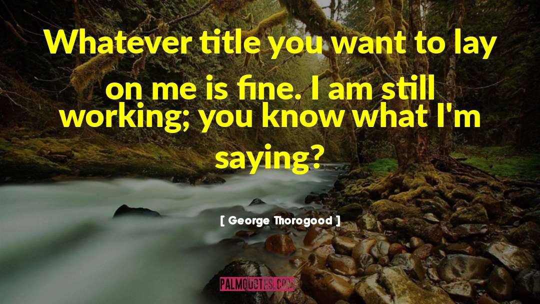 George Thorogood Quotes: Whatever title you want to