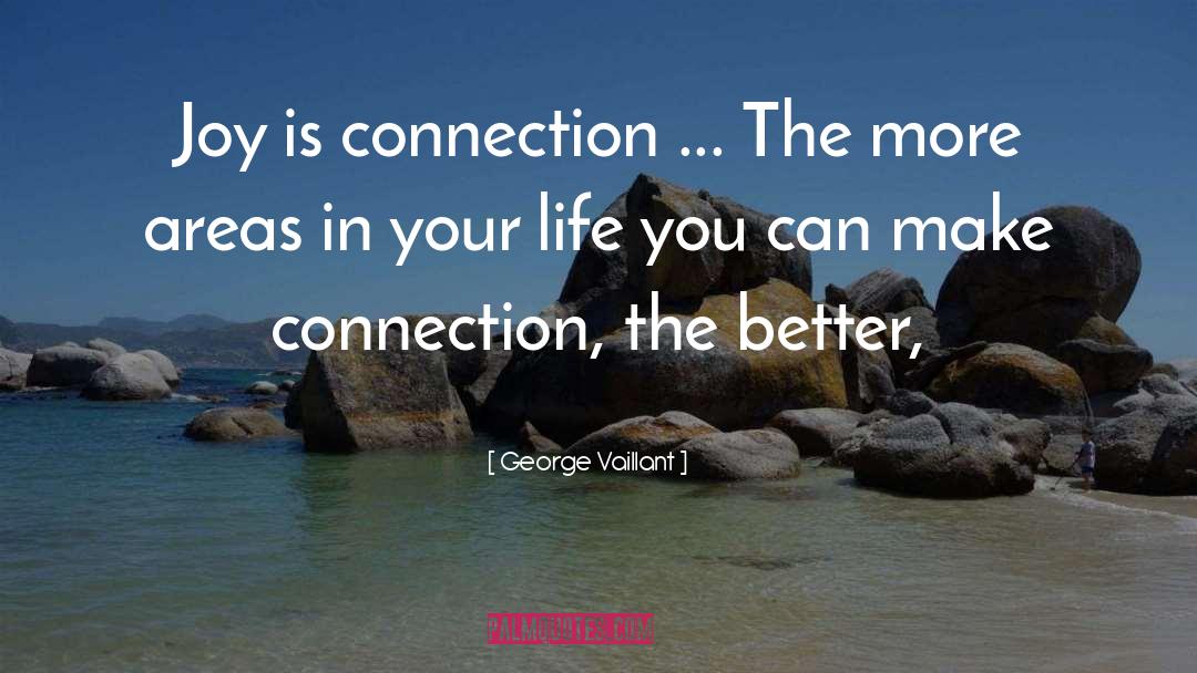 George Vaillant Quotes: Joy is connection ... The