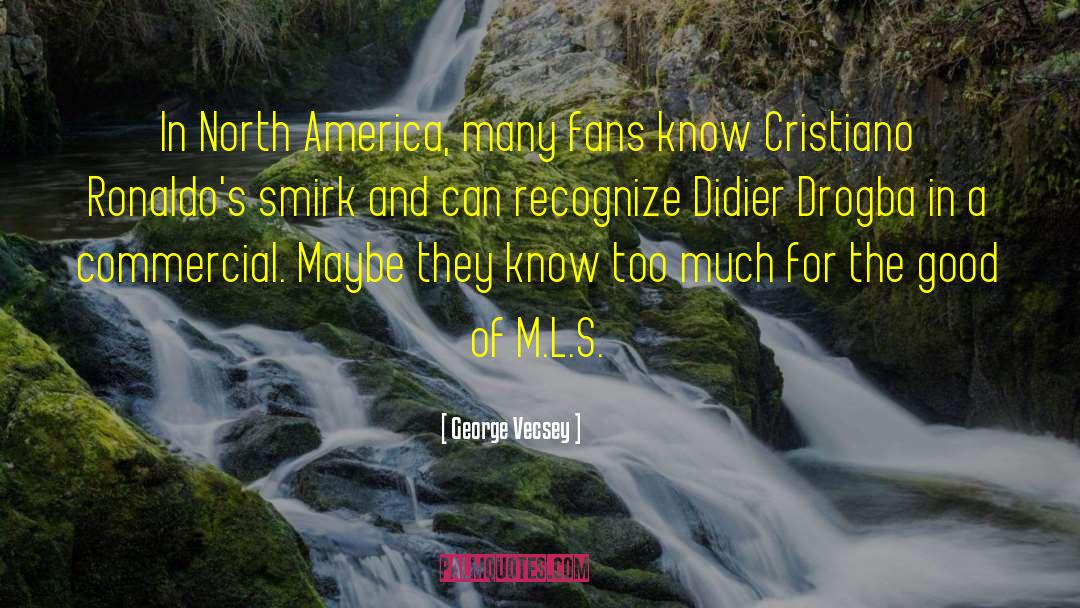 George Vecsey Quotes: In North America, many fans