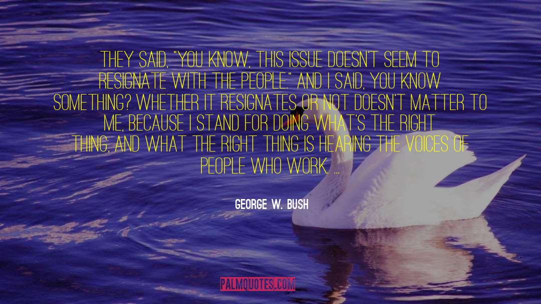 George W. Bush Quotes: They said, 