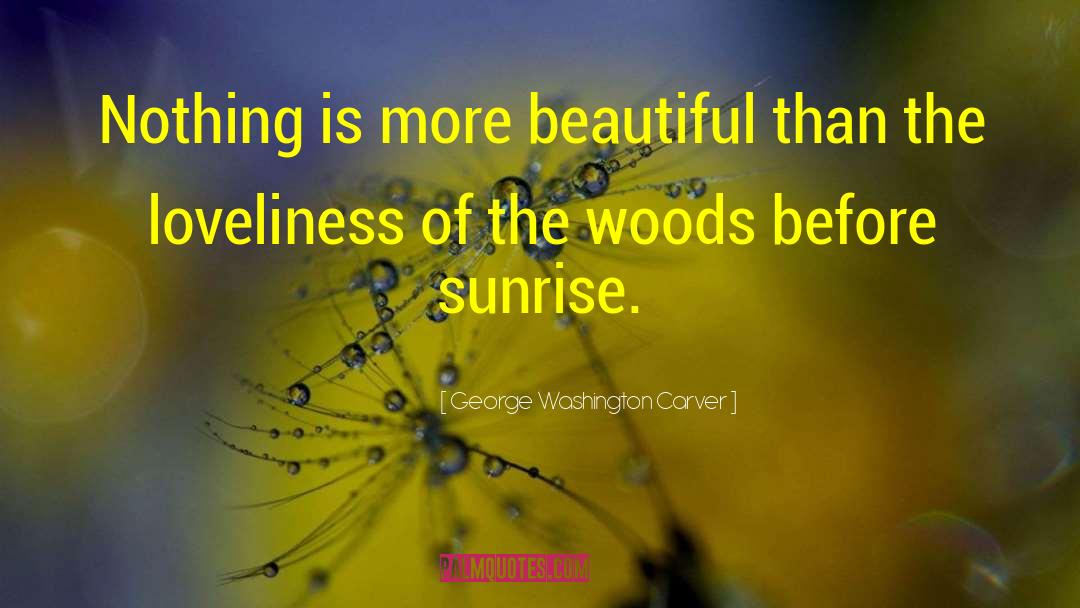 George Washington Carver Quotes: Nothing is more beautiful than