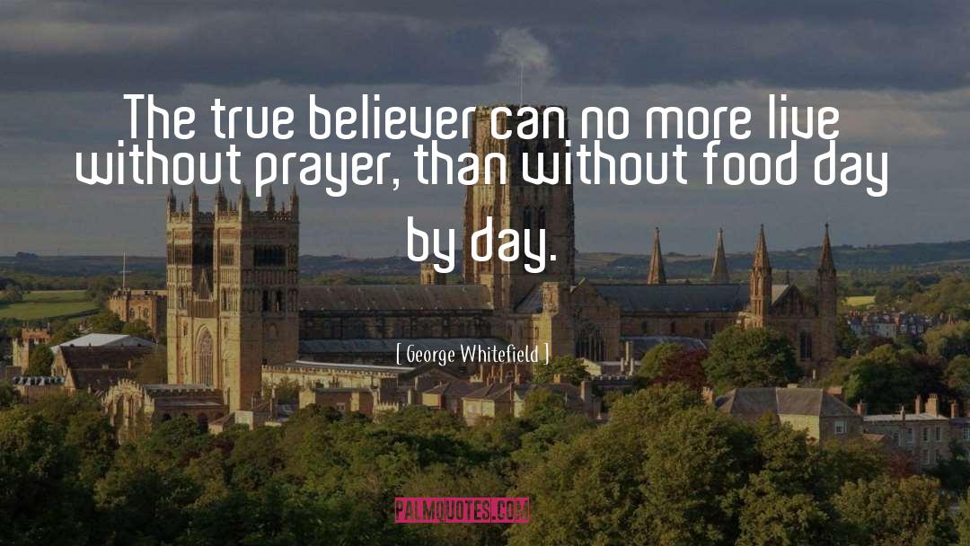 George Whitefield Quotes: The true believer can no