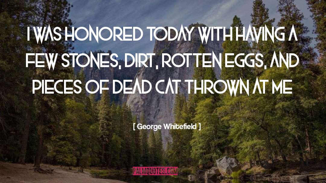 George Whitefield Quotes: I was honored today with