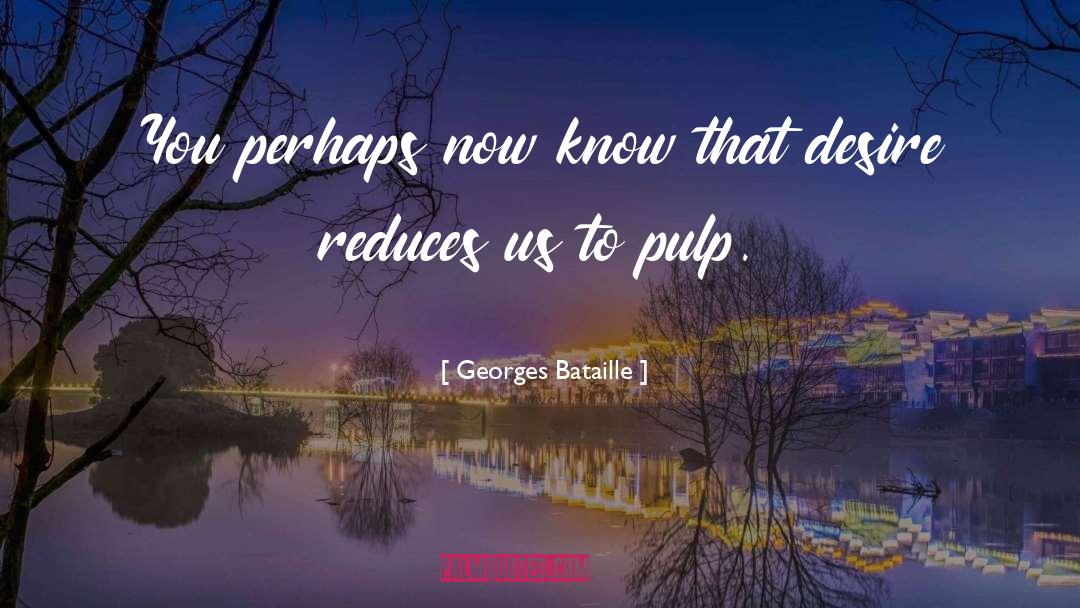 Georges Bataille Quotes: You perhaps now know that