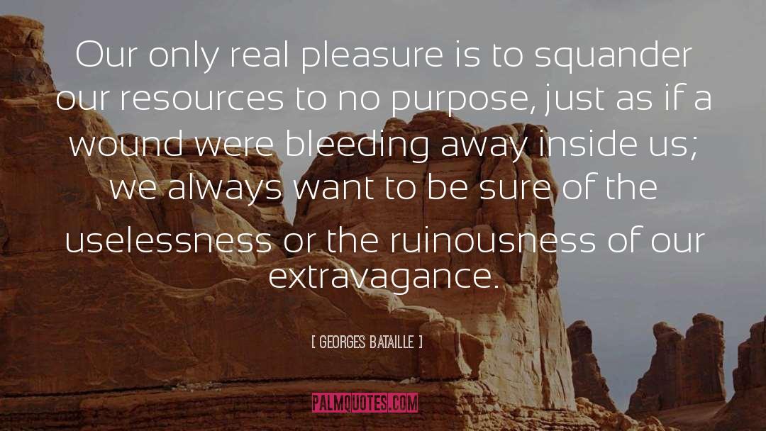 Georges Bataille Quotes: Our only real pleasure is