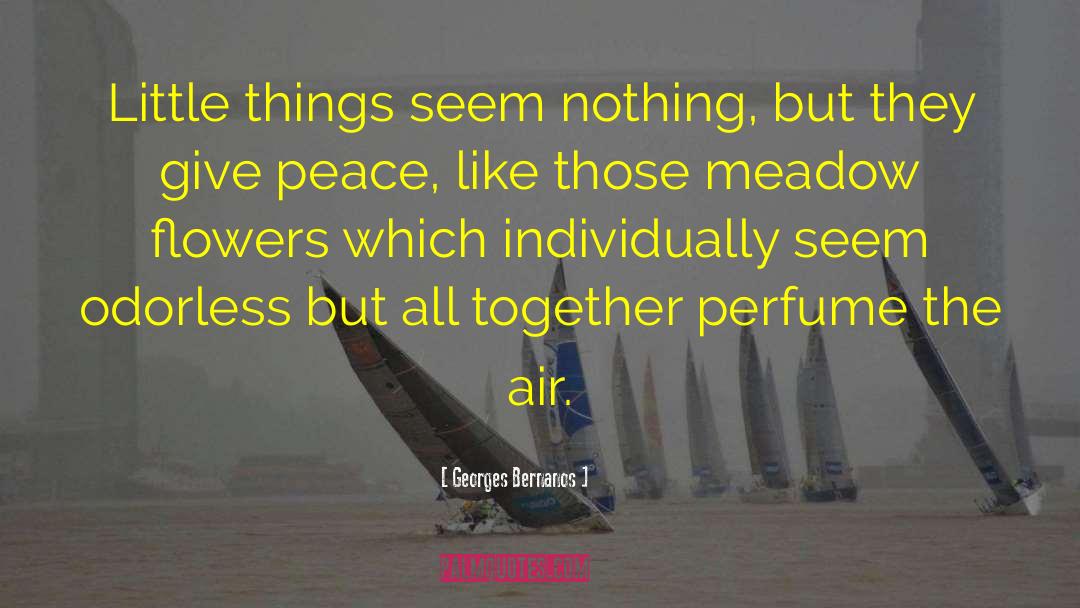 Georges Bernanos Quotes: Little things seem nothing, but