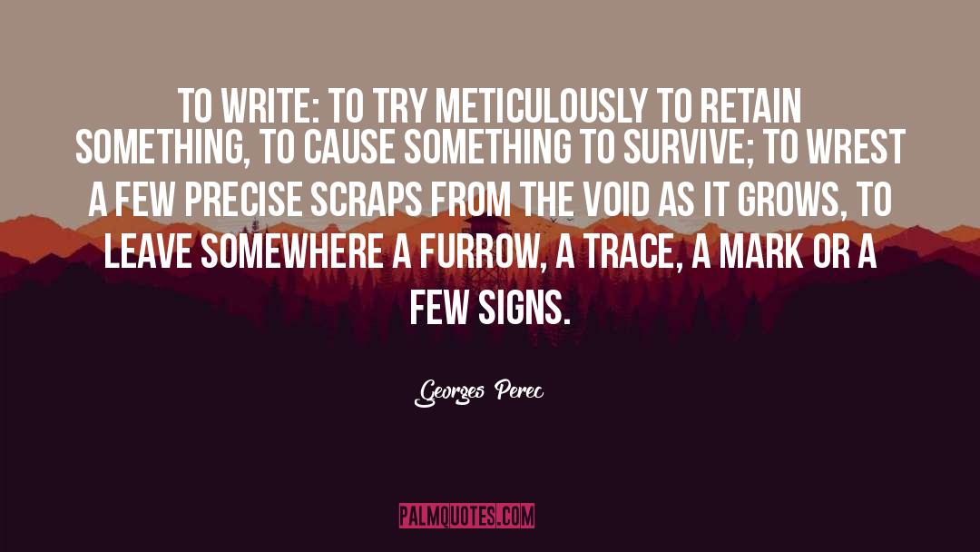 Georges Perec Quotes: To write: to try meticulously