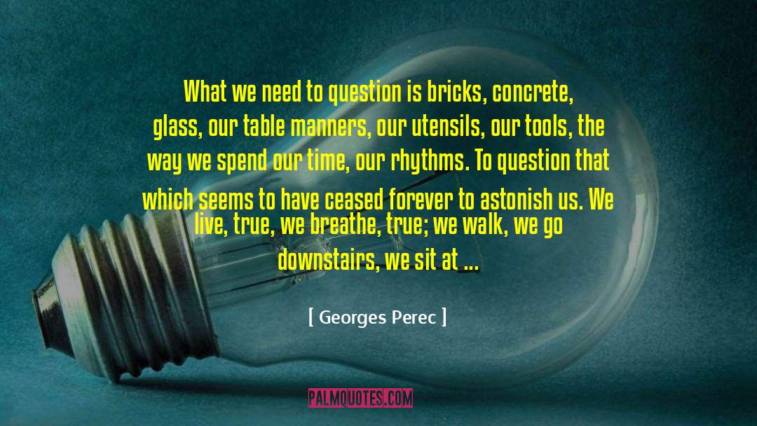 Georges Perec Quotes: What we need to question
