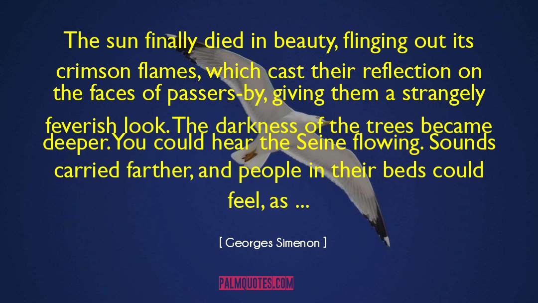 Georges Simenon Quotes: The sun finally died in