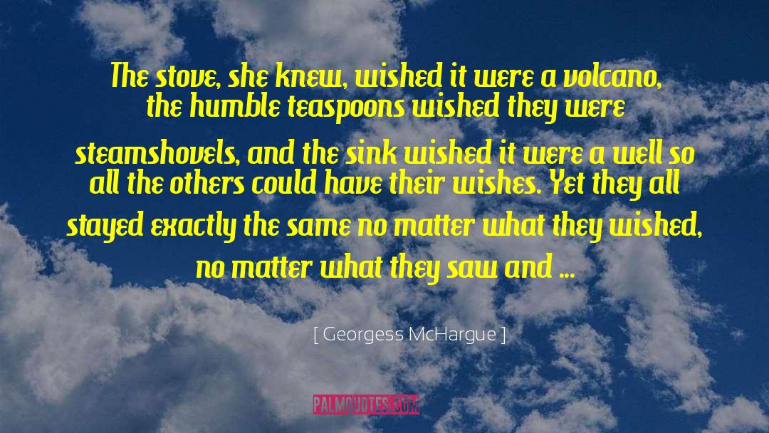 Georgess McHargue Quotes: The stove, she knew, wished
